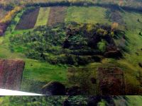 Cronica Cercetărilor Arheologice din România, Campania 2004. Raportul nr. 217