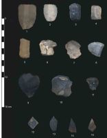 Cronica Cercetărilor Arheologice din România, Campania 2004. Raportul nr. 220