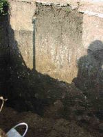 Cronica Cercetărilor Arheologice din România, Campania 2004. Raportul nr. 220