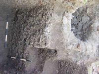 Cronica Cercetărilor Arheologice din România, Campania 2004. Raportul nr. 221