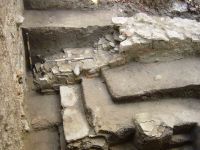 Cronica Cercetărilor Arheologice din România, Campania 2004. Raportul nr. 221