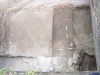 Cronica Cercetărilor Arheologice din România, Campania 2004. Raportul nr. 221