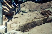 Cronica Cercetărilor Arheologice din România, Campania 2004. Raportul nr. 226