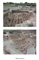 Cronica Cercetărilor Arheologice din România, Campania 2004. Raportul nr. 229