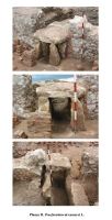 Cronica Cercetărilor Arheologice din România, Campania 2004. Raportul nr. 229