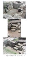 Cronica Cercetărilor Arheologice din România, Campania 2004. Raportul nr. 229