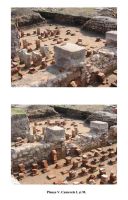 Cronica Cercetărilor Arheologice din România, Campania 2004. Raportul nr. 229