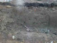 Cronica Cercetărilor Arheologice din România, Campania 2004. Raportul nr. 238