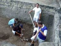 Cronica Cercetărilor Arheologice din România, Campania 2004. Raportul nr. 238