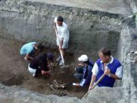 Cronica Cercetărilor Arheologice din România, Campania 2004. Raportul nr. 238