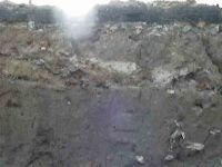 Cronica Cercetărilor Arheologice din România, Campania 2004. Raportul nr. 238