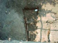 Cronica Cercetărilor Arheologice din România, Campania 2004. Raportul nr. 238