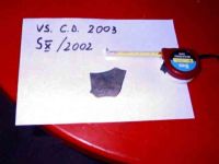 Cronica Cercetărilor Arheologice din România, Campania 2004. Raportul nr. 238