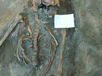 Cronica Cercetărilor Arheologice din România, Campania 2004. Raportul nr. 238