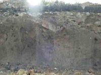 Cronica Cercetărilor Arheologice din România, Campania 2004. Raportul nr. 238