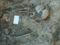 Cronica Cercetărilor Arheologice din România, Campania 2004. Raportul nr. 238