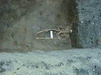 Cronica Cercetărilor Arheologice din România, Campania 2004. Raportul nr. 238