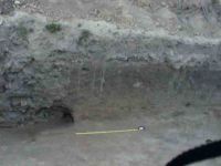 Cronica Cercetărilor Arheologice din România, Campania 2004. Raportul nr. 238