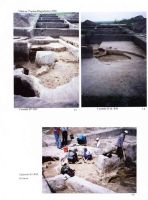 Cronica Cercetărilor Arheologice din România, Campania 2004. Raportul nr. 244