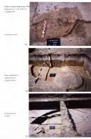 Cronica Cercetărilor Arheologice din România, Campania 2004. Raportul nr. 244