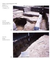 Cronica Cercetărilor Arheologice din România, Campania 2004. Raportul nr. 244