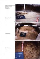 Cronica Cercetărilor Arheologice din România, Campania 2004. Raportul nr. 244