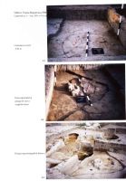 Cronica Cercetărilor Arheologice din România, Campania 2004. Raportul nr. 244