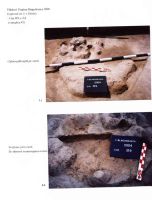 Cronica Cercetărilor Arheologice din România, Campania 2004. Raportul nr. 244