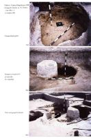 Cronica Cercetărilor Arheologice din România, Campania 2004. Raportul nr. 244