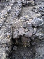 Cronica Cercetărilor Arheologice din România, Campania 2004. Raportul nr. 245
