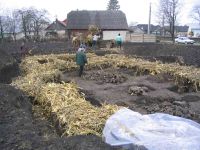 Cronica Cercetărilor Arheologice din România, Campania 2004. Raportul nr. 245