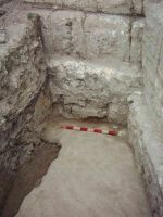 Cronica Cercetărilor Arheologice din România, Campania 2005. Raportul nr. 2