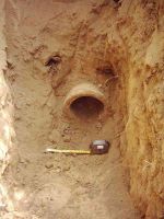 Cronica Cercetărilor Arheologice din România, Campania 2005. Raportul nr. 2