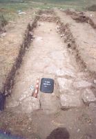 Cronica Cercetărilor Arheologice din România, Campania 2005. Raportul nr. 2