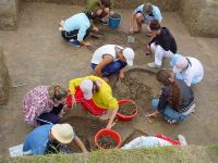 Cronica Cercetărilor Arheologice din România, Campania 2005. Raportul nr. 3