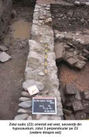 Cronica Cercetărilor Arheologice din România, Campania 2005. Raportul nr. 20