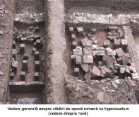 Cronica Cercetărilor Arheologice din România, Campania 2005. Raportul nr. 20