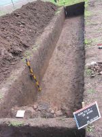 Cronica Cercetărilor Arheologice din România, Campania 2005. Raportul nr. 24