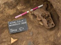 Cronica Cercetărilor Arheologice din România, Campania 2005. Raportul nr. 26