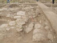Cronica Cercetărilor Arheologice din România, Campania 2005. Raportul nr. 27