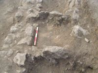 Cronica Cercetărilor Arheologice din România, Campania 2005. Raportul nr. 27