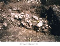 Cronica Cercetărilor Arheologice din România, Campania 2005. Raportul nr. 29