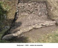 Cronica Cercetărilor Arheologice din România, Campania 2005. Raportul nr. 29