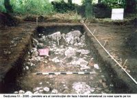 Cronica Cercetărilor Arheologice din România, Campania 2005. Raportul nr. 29