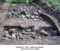 Cronica Cercetărilor Arheologice din România, Campania 2005. Raportul nr. 29
