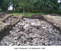 Cronica Cercetărilor Arheologice din România, Campania 2005. Raportul nr. 29