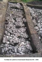 Cronica Cercetărilor Arheologice din România, Campania 2005. Raportul nr. 29