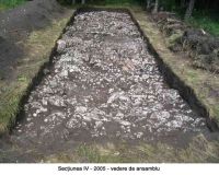 Cronica Cercetărilor Arheologice din România, Campania 2005. Raportul nr. 29