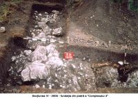 Cronica Cercetărilor Arheologice din România, Campania 2005. Raportul nr. 29