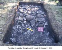 Cronica Cercetărilor Arheologice din România, Campania 2005. Raportul nr. 29